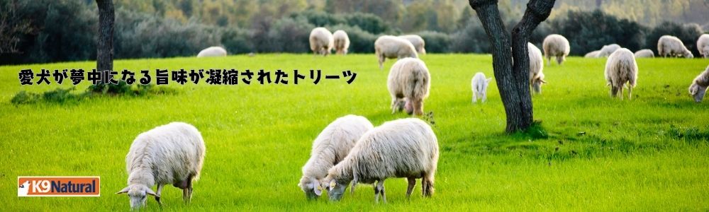 K9�i�`�����������g���[�c