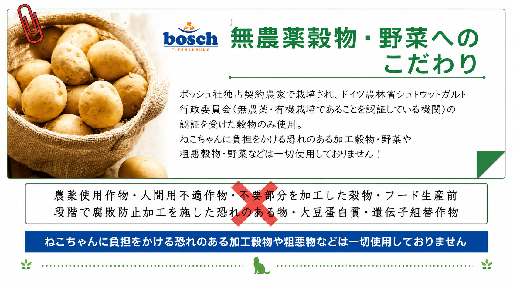 bosch �U�i�x�� ���C�t �V�j�A �`�L�����N�����x���[ �L���b�g�t�[�h