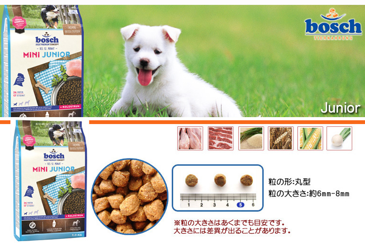 ハイプレミアムミニジュニア ドッグフード（1.0kg） 【賞味期限:2026年