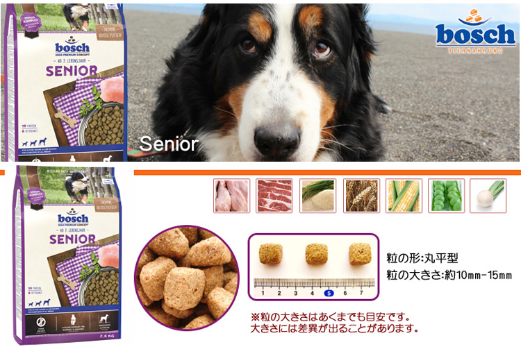 ボッシュシニア ドッグフード（1.0kg） 【賞味期限2025年12月20日】 犬