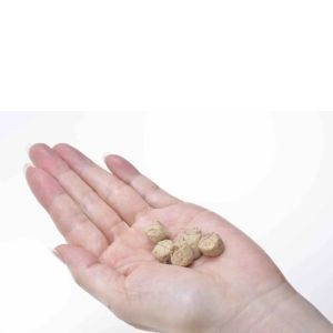 K9�i�`������ �t���[�Y�h���C �����E�g���[�c