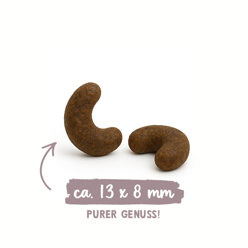 �U�i�x�� �E���i���[�{�O���e���t���[ �L���b�g�t�[�h�i400g�j