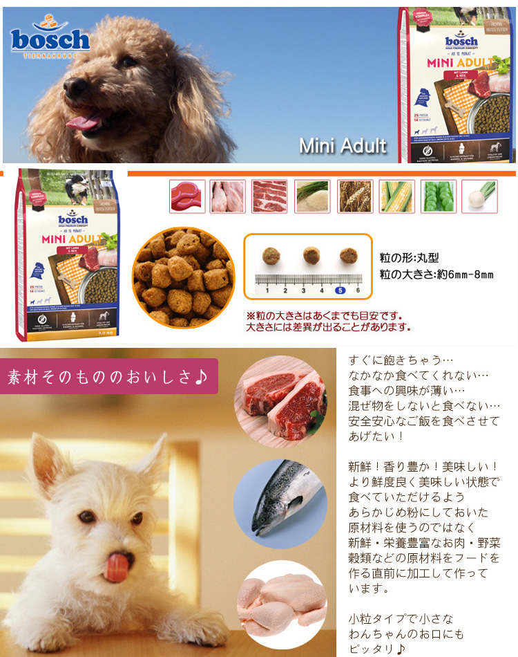 ボッシュミニアダルト ラム＆ライス ドッグフード（100g） お